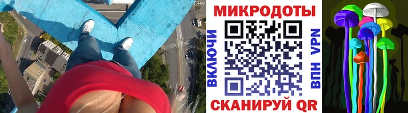 Купить  Райчихинск  Галлюциногенные грибы MAGIC MUSHROOMS 